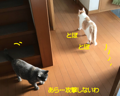 f:id:beriru:20201218193159j:plain