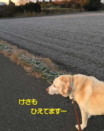 f:id:beriru:20201222190615j:plain