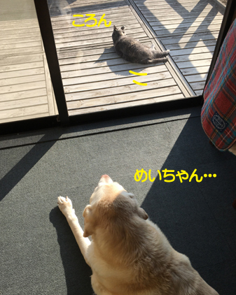 f:id:beriru:20201229195624j:plain