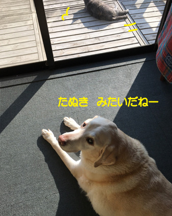 f:id:beriru:20201229195626j:plain