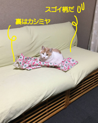 f:id:beriru:20201231120018j:plain