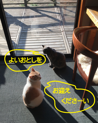 f:id:beriru:20201231172142j:plain