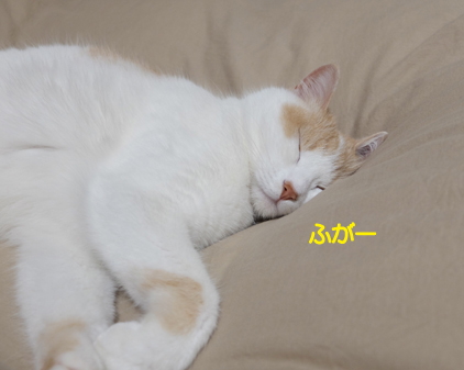 f:id:beriru:20210615214229j:plain