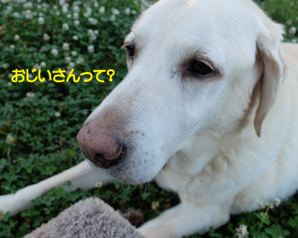 f:id:beriru:20210618195214j:plain