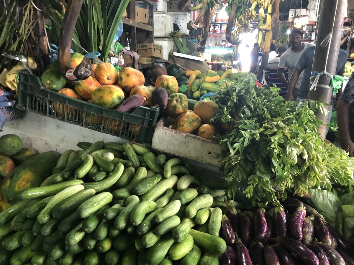 f:id:bermuda2006:20190331072947j:plain