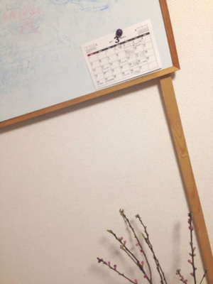 f:id:berry-no-kurashi:20170308003228j:plain