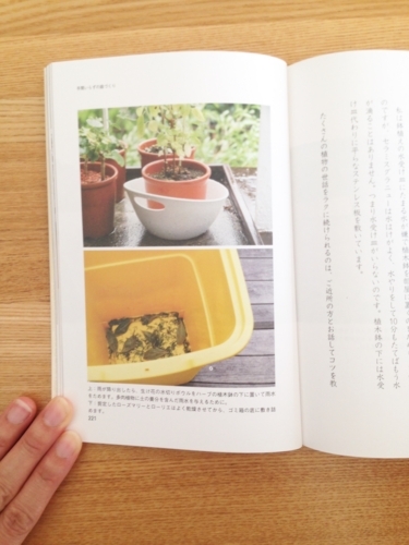 f:id:berry-no-kurashi:20171024195213j:plain