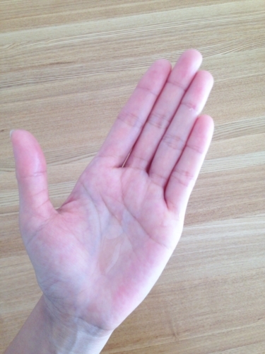 f:id:berry-no-kurashi:20171115161313j:plain