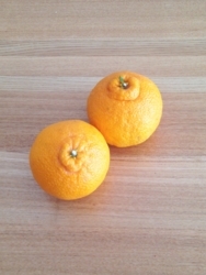 f:id:berry-no-kurashi:20180207134333j:plain