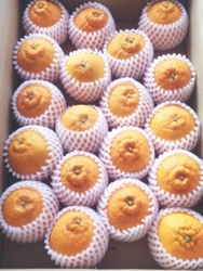 f:id:berry-no-kurashi:20180207134340j:plain