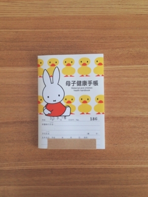 妊娠10週 体調やつわりの状況 ベリーの暮らし