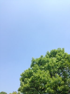 f:id:berry-no-kurashi:20180430203916j:plain