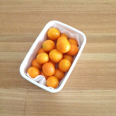 f:id:berry-no-kurashi:20190309183752j:plain