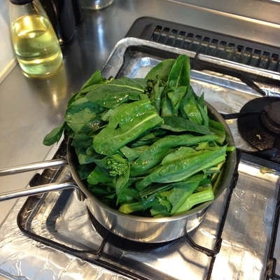 f:id:berry-no-kurashi:20190326215628j:plain