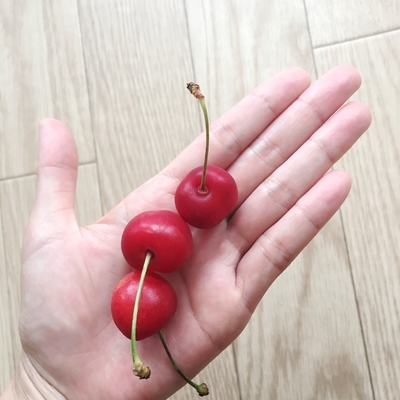 f:id:berry-no-kurashi:20190628115212j:plain