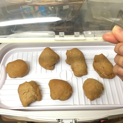 f:id:berry-no-kurashi:20200316103047j:plain