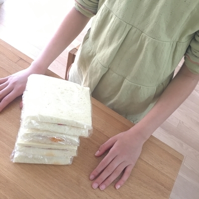 f:id:berry-no-kurashi:20200326064911j:plain