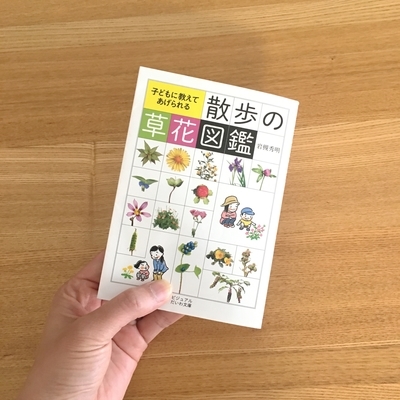 f:id:berry-no-kurashi:20200510132748j:plain