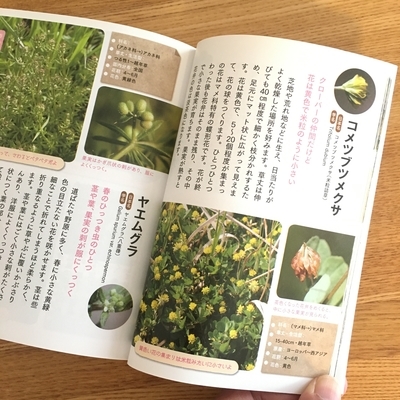 f:id:berry-no-kurashi:20200510132803j:plain