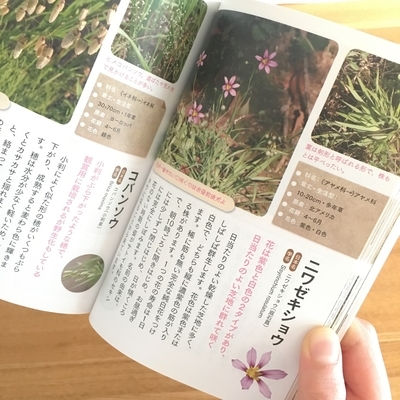 f:id:berry-no-kurashi:20200510132815j:plain