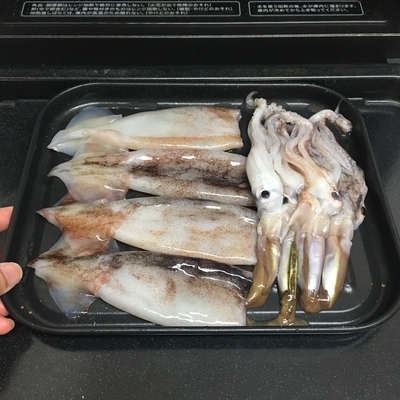 f:id:berry-no-kurashi:20200526181623j:plain