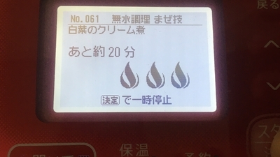 f:id:berry-no-kurashi:20210126120018j:plain