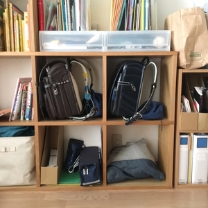 f:id:berry-no-kurashi:20210306130206j:plain