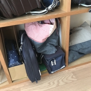 f:id:berry-no-kurashi:20210306130259j:plain