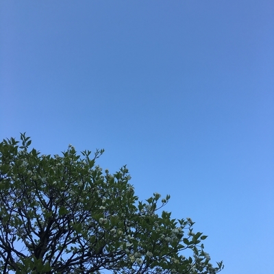 f:id:berry-no-kurashi:20210415183345j:plain