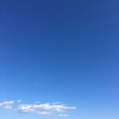 f:id:berry-no-kurashi:20211230230022j:plain