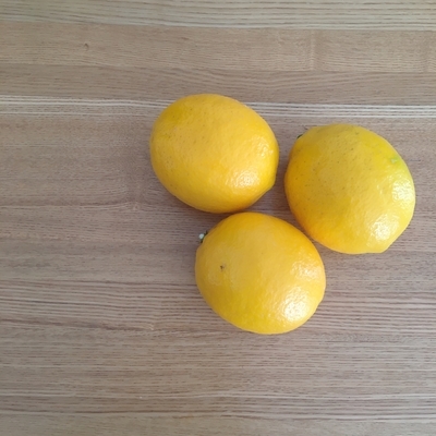 f:id:berry-no-kurashi:20211231174803j:plain