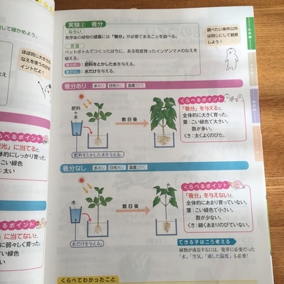 家庭学習】理科・社会のおすすめ教材、「くらべてわかる_できる