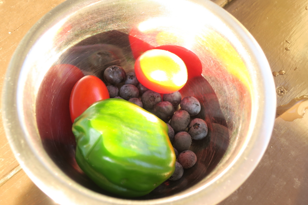 f:id:berry16:20180703160248j:plain f:id:berry16:20180703160248j:plain