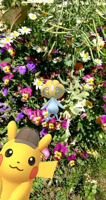 f:id:berry42195:20190508180945j:image