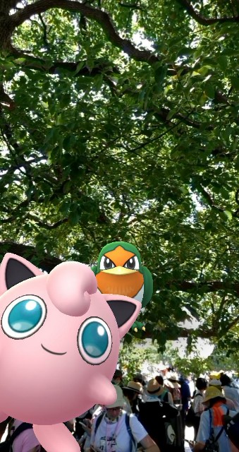 f:id:berry42195:20190809095321j:image