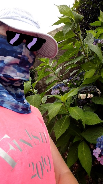 f:id:berry42195:20200701150701j:image