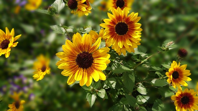 f:id:berry42195:20200802134418j:image f:id:berry42195:20200802134418j:image