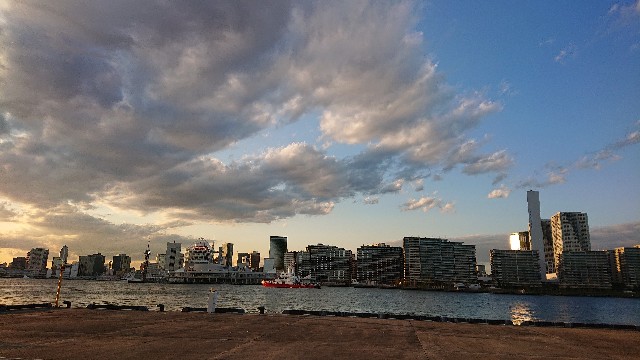 f:id:berry42195:20201105105301j:image f:id:berry42195:20201105105301j:image