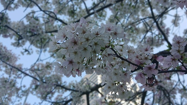 f:id:berry42195:20210323143147j:image