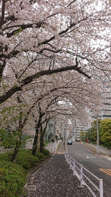 f:id:berry42195:20210328173150j:image f:id:berry42195:20210328173150j:image