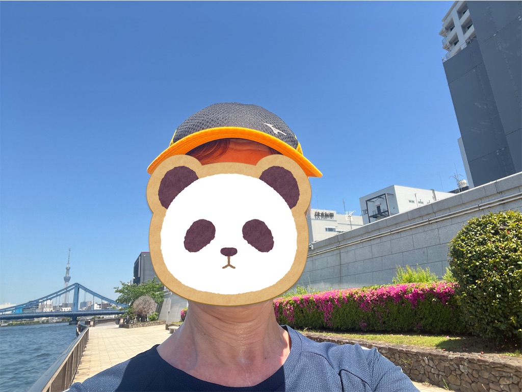 f:id:berry42195:20240503160357j:image