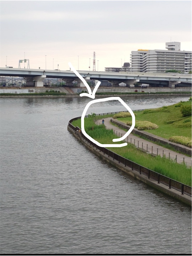 f:id:berry42195:20250427190358j:image