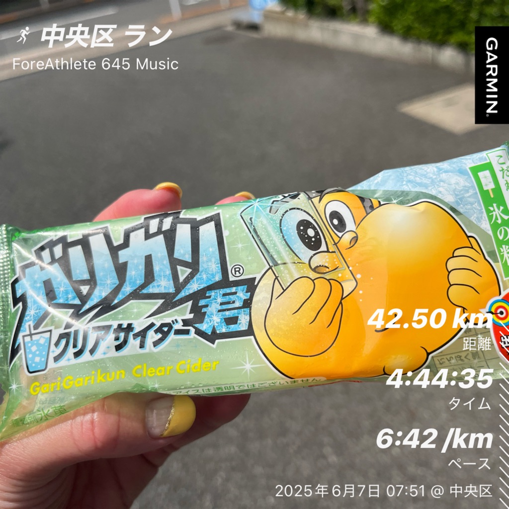 f:id:berry42195:20250612160802j:image