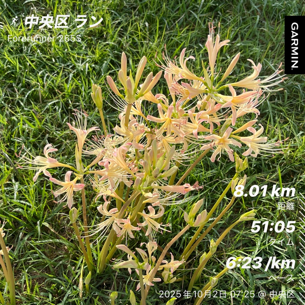 f:id:berry42195:20251002083052j:image f:id:berry42195:20251002083052j:image