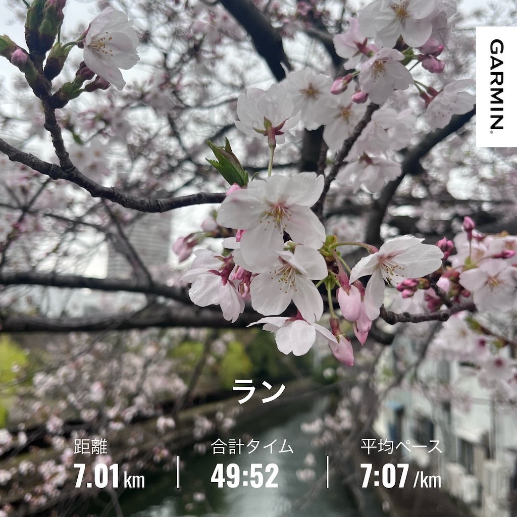 f:id:berry42195:20260401133405j:image