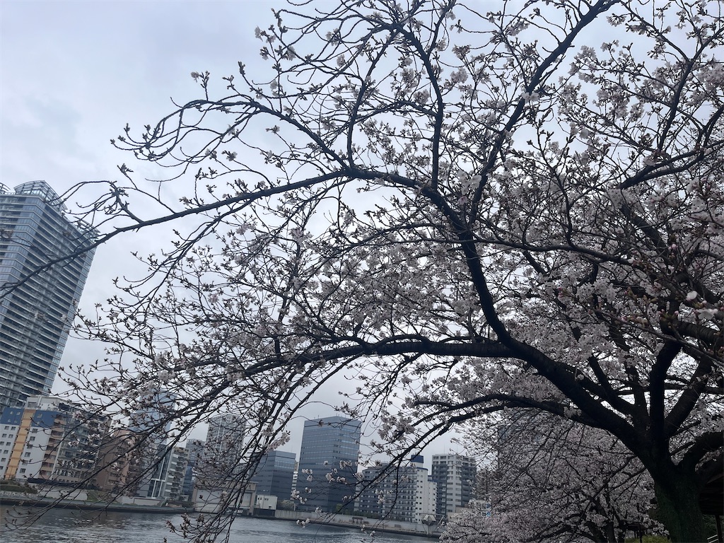 f:id:berry42195:20260401133440j:image