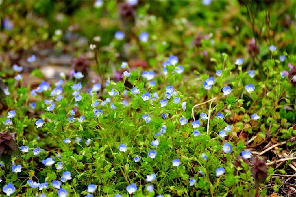 f:id:berry666:20190816151516j:image f:id:berry666:20190816151516j:image