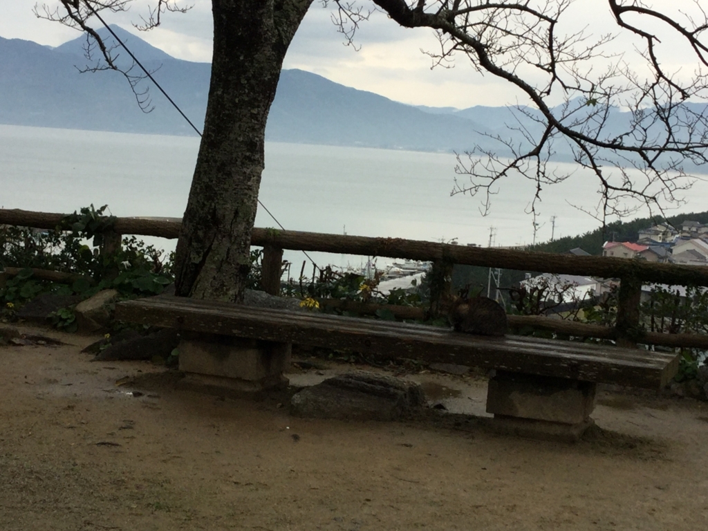 f:id:berry_m:20161205130115j:plain f:id:berry_m:20161205130115j:plain