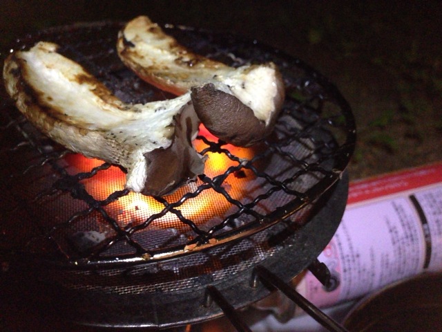 f:id:beru900r:20140519161629j:plain