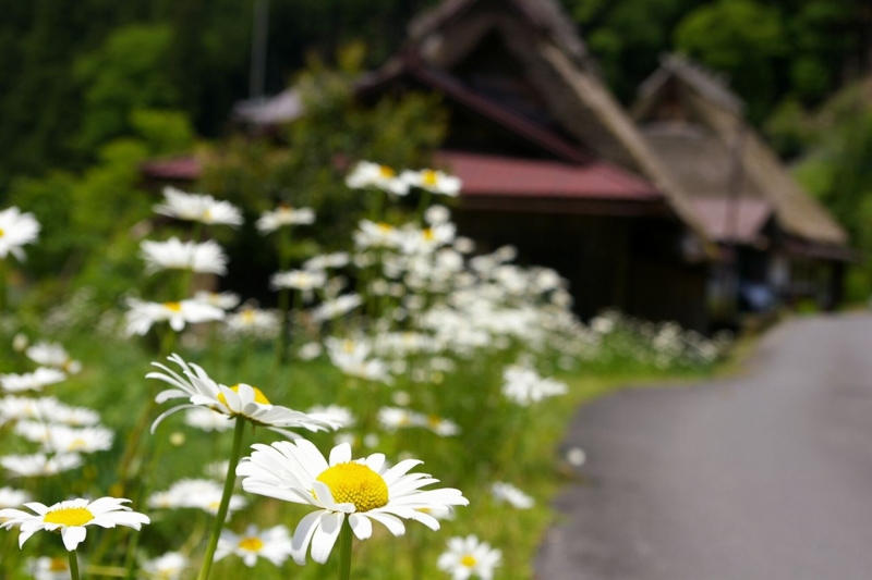 f:id:beru900r:20140526093000j:plain